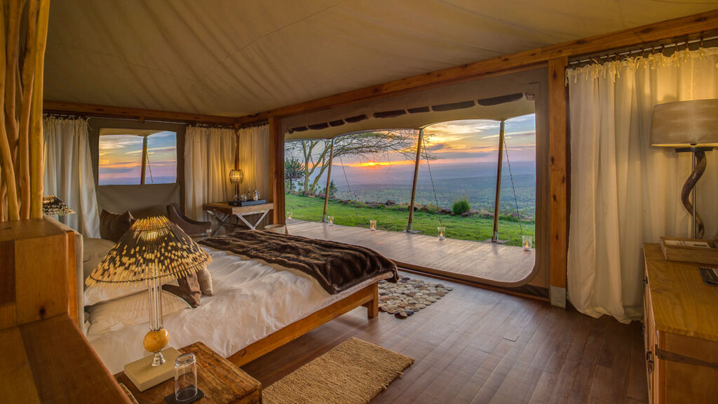 elewena camp
