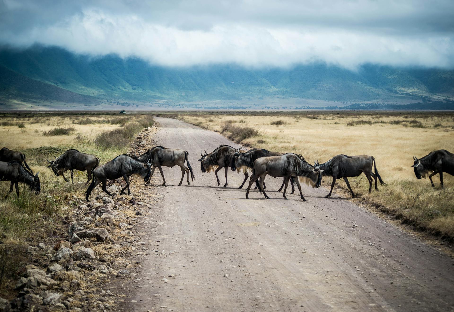 ngorongoro crater| Tanzania | Zura safaris