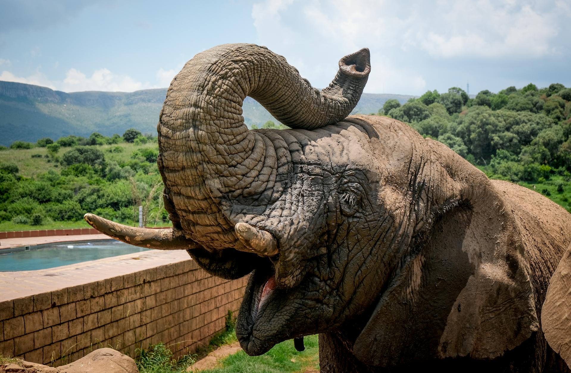 LUXURY LODGE Safaris | Zura Safaris