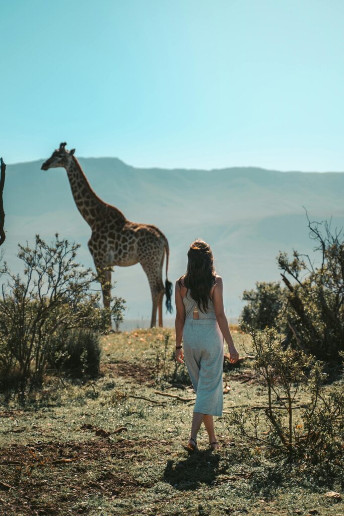 Zura Africa Safaris