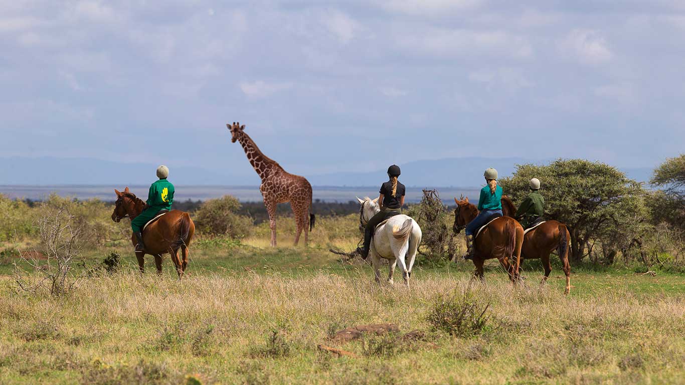 Laikipia plateau | Zura Safaris