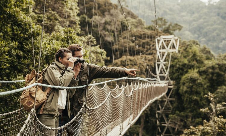 nyungwe park rwanda